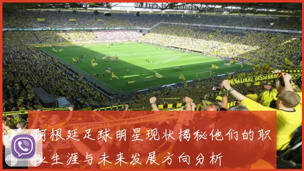 阿根廷足球明星现状揭秘他们的职业生涯与未来发展方向分析