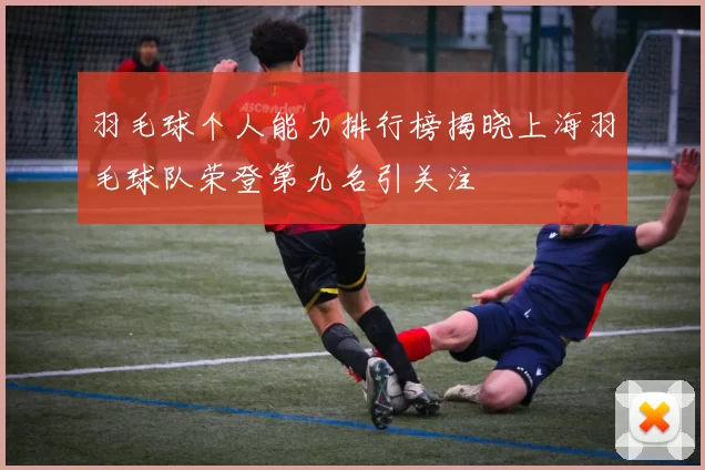 羽毛球个人能力排行榜揭晓上海羽毛球队荣登第九名引关注