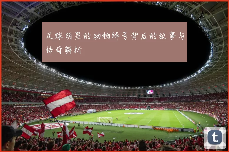 足球明星的动物绰号背后的故事与传奇解析