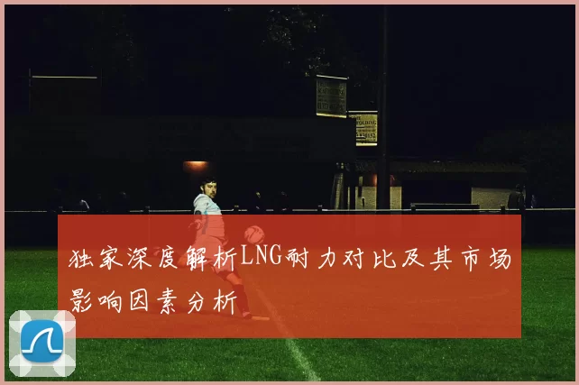 独家深度解析LNG耐力对比及其市场影响因素分析