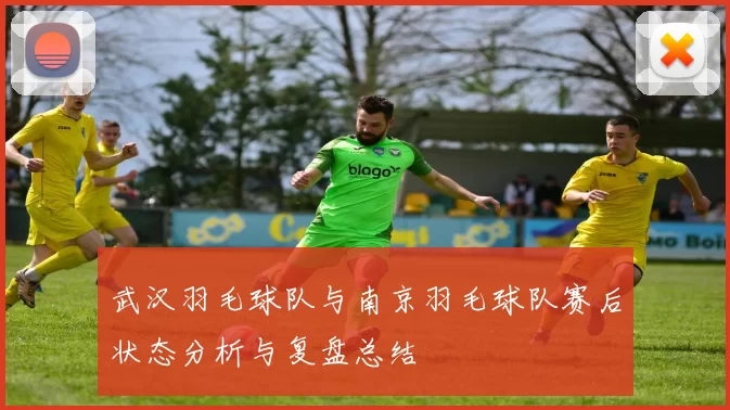 武汉羽毛球队与南京羽毛球队赛后状态分析与复盘总结