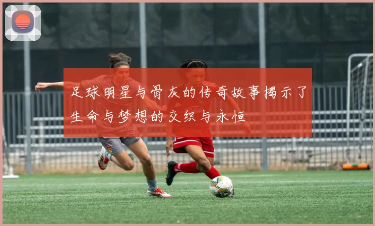 足球明星与骨灰的传奇故事揭示了生命与梦想的交织与永恒